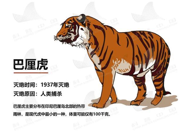 新华网客户端:今天的头条,只想留给TA们……