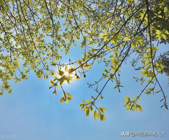 肾虚表现各不同，如何正确判断你是哪种肾虚？