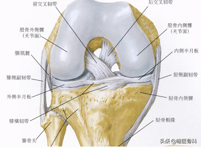 膝关节疼=关节炎？骨科医生：根据这 5 个位置找原因