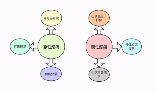 肿瘤患者如何享受无痛生活？这几点要知道