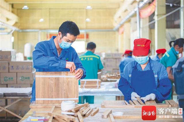 东馆|海垦宝橡林产集团采取超常规举措，以党建引领推进项目建设