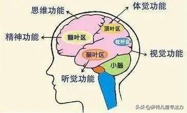 忆美好时光|每天陪孩子写作业，成绩却不见进步！家长是否犯以下几点小错误？