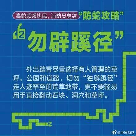 小丽|一朝被蛇咬，九岁女童右手功能丧失