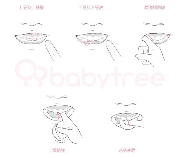 超级宝妈▲3个月就该给宝宝清洁口腔了，不做后果很严重
