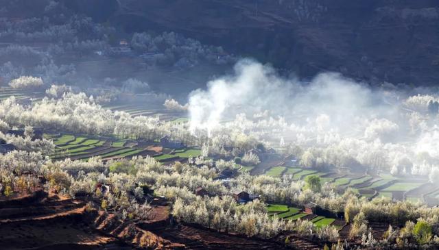 「旅行柚子君」天上云海！地上花海！这些冒着仙气的地方，竟藏了中国最美风景