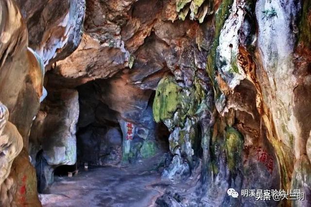 「你的育儿经」「马上就办 真抓实干」明溪县实验幼儿园亲子在线学（五）
