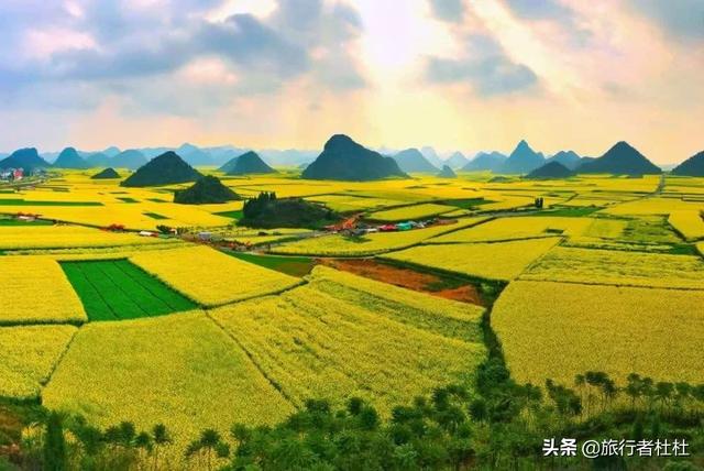 「约吗旅行」百万亩油菜花盛开，处处诗情画意，致最美的汉中油菜花