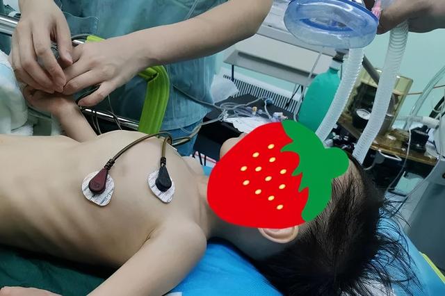 手术|罕见！4岁女娃心脏比成人大