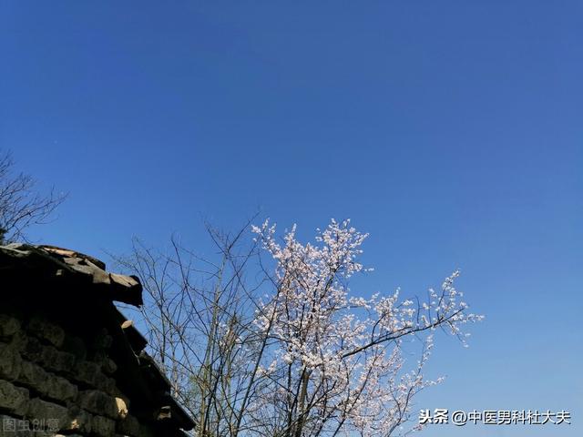 肾虚表现各不同，如何正确判断你是哪种肾虚？