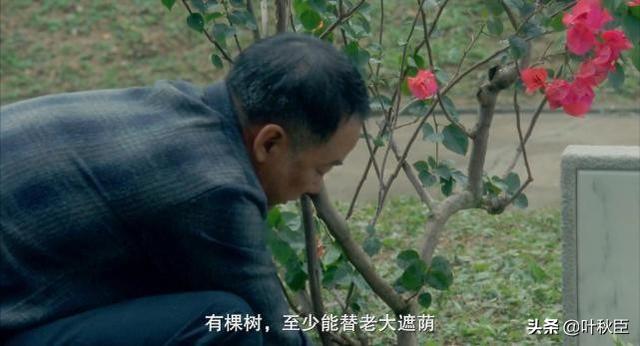 故态复萌|豆瓣8.7被低估的香港电影：看任达华演的父亲，我每次都哭到泪崩