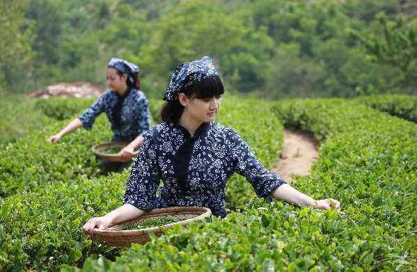 大蒜、三七、绿茶，这些防癌食物真的有效吗？看看专家的说法