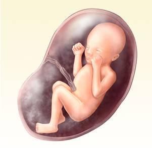 「超级宝妈」性格和喜欢的颜色有关！如果孩子喜欢这种颜色，可能缺乏安全感