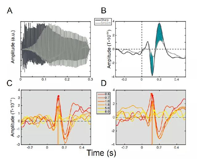 PNAS：音乐刺激调制神经节律的两种理论模型