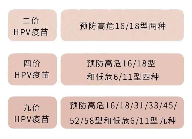 疫苗|hpv疫苗很有效，但年过四十还要接种吗？