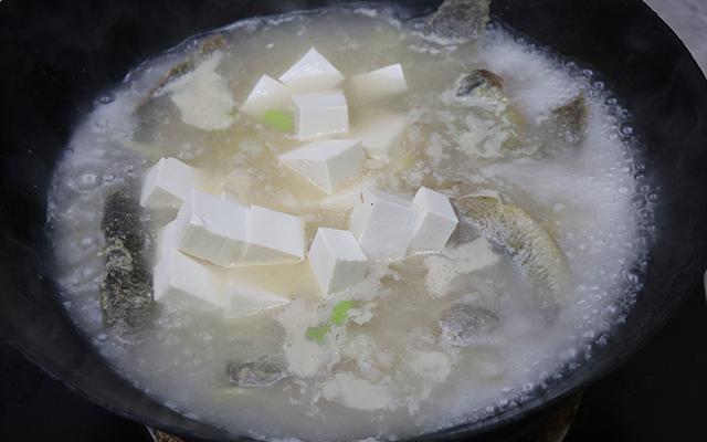 冬季天冷，教你一道营养汤，泥鳅炖豆腐，汤汁浓白，肉质鲜嫩