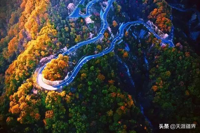 「玩乐足迹」安徽有个世界级的宝藏,马鬃岭秋色迷人。