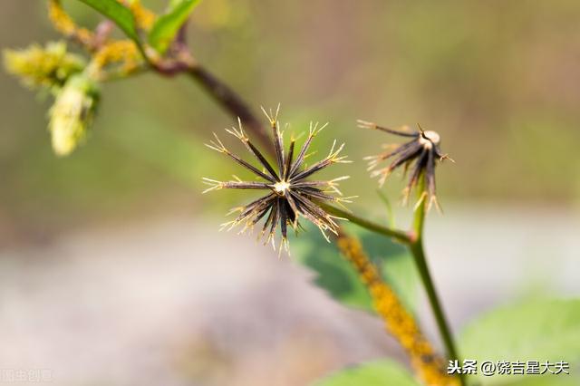 一个治疗顽固高血压的自疗“秘方”