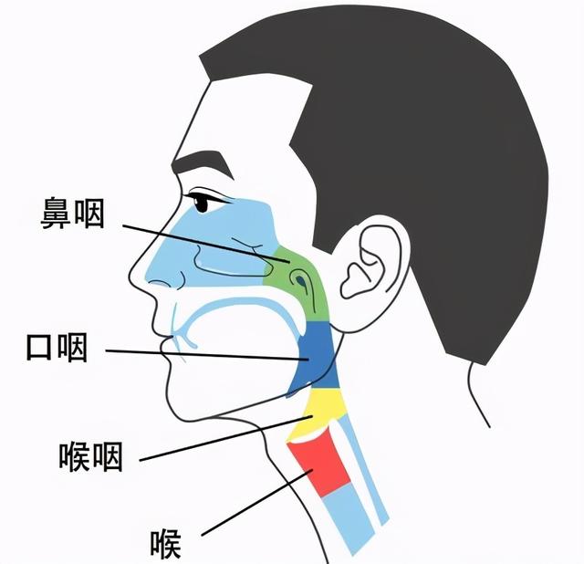 这5种癌症最容易“遗传”，家中有人患癌的，一定要看看