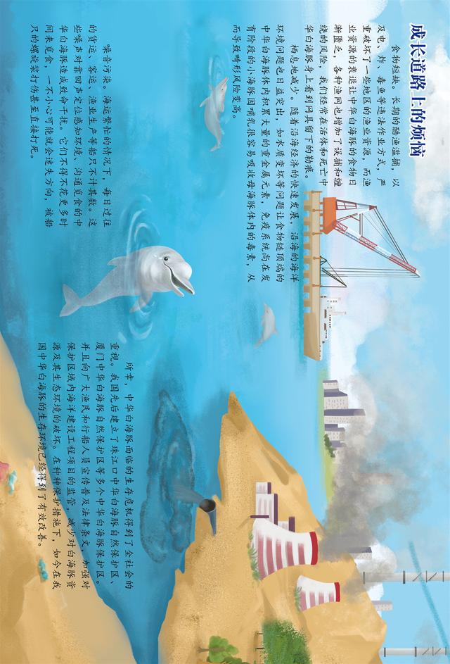 你的育儿经▲绘本 | 中华白海豚小科普