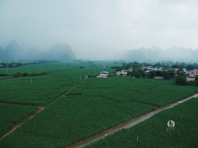 广西有一个蔗都,方圆百里全是甘蔗,高空航拍让你感受下