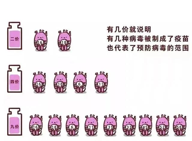 被抢疯的 HPV 疫苗，有必要打吗？听听专家怎么说