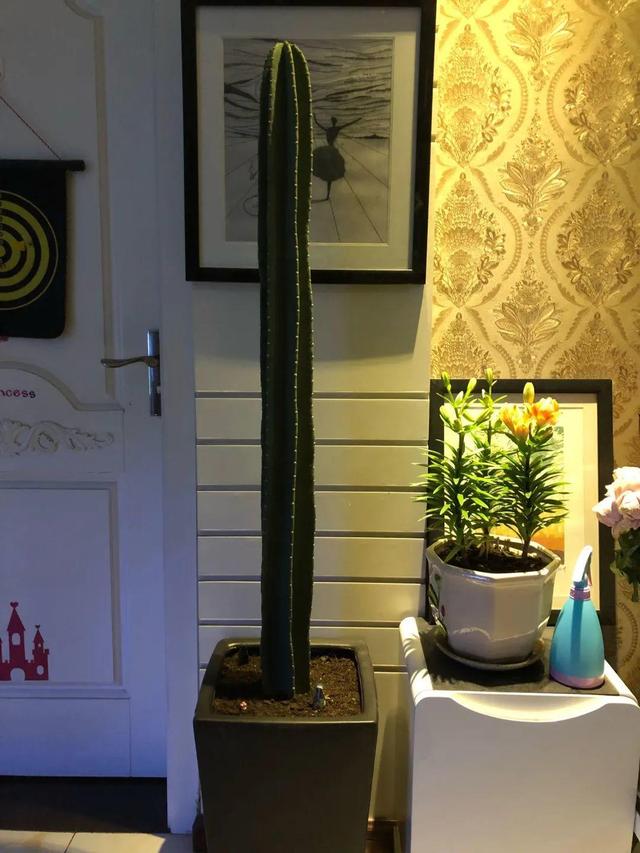 15种镇宅花，家里摆一盆，镇宅旺运超霸气