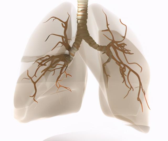 全国近1亿患者，咳嗽咳痰，呼吸困难？医生带你了解「慢阻肺」