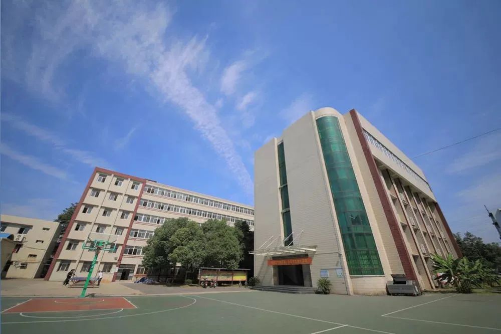 【暖先生格调】延迟开学：致全体武汉中小学生的一封信！