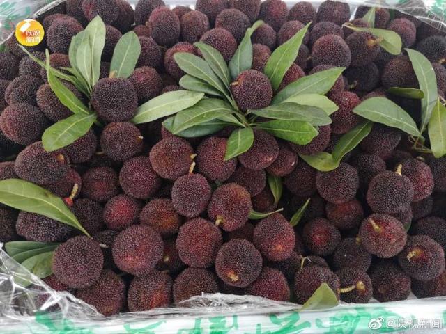 「旅行柚子君」想来体验古城烟火气吗？顺城巷早市，够西安，够烟火~