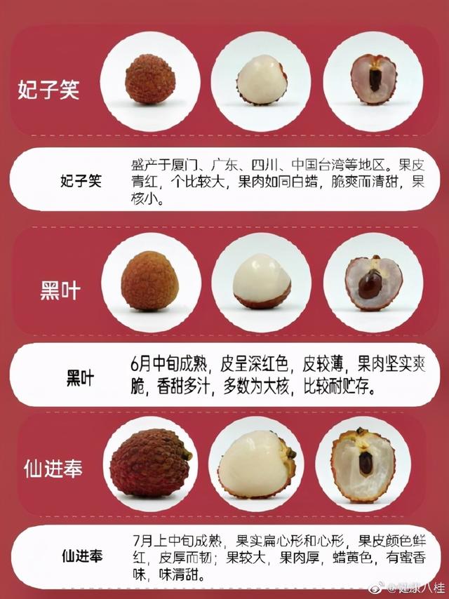 荔枝|你能分辨出荔枝的种类吗？最喜欢的是哪一种？