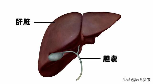 结节、息肉、囊肿、增生...哪个最可能癌变？这么多年疑惑终于解开了！