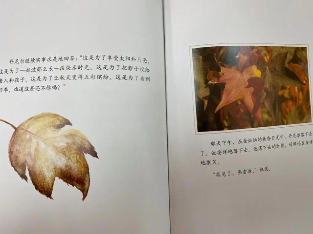 『上观新闻』家里的自然课（二十五）︱从自然绘本中读出生命存在的意义