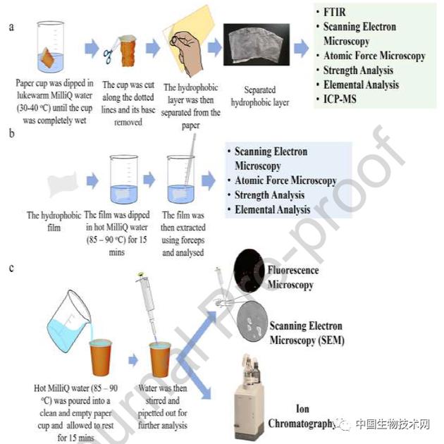 杯具了！满满一纸杯热咖啡中，满满的塑料微粒...