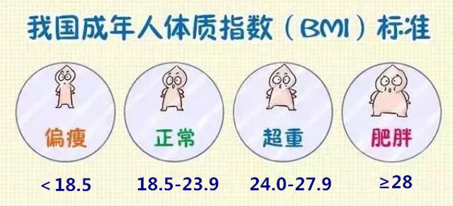 「妙手养生堂」营养周系列科普|与健康密不可分的两个要素,怎样保持平衡?