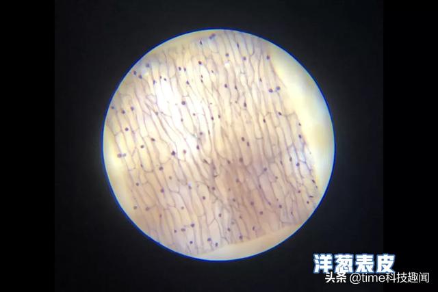 你的育儿经▲日本黑科技中的“价格屠夫”！1秒让小孩丢掉手机，进入120倍世界
