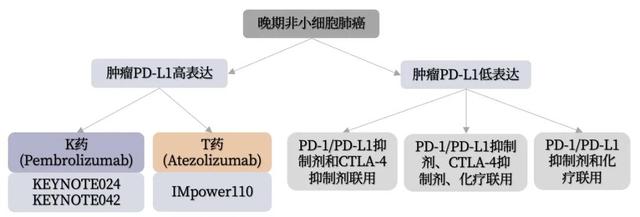 肺癌如何选择PD-1/PD-L1药物？这里有一份最新指南