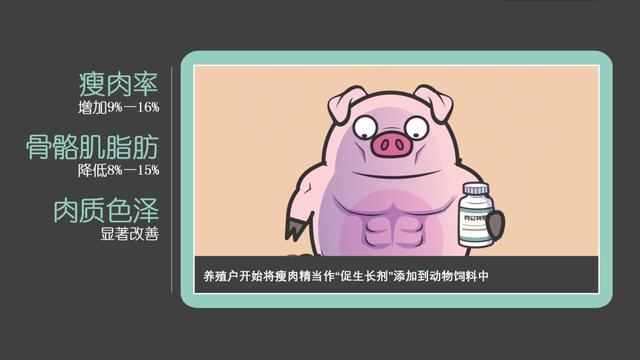 瘦肉精|走近“瘦肉精”