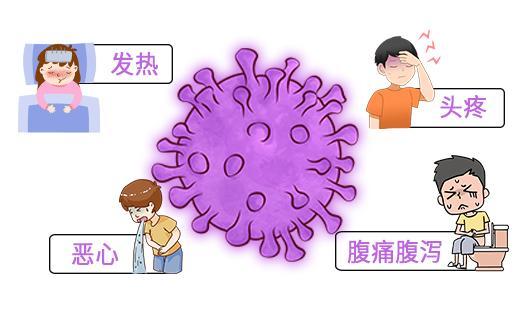 发烧、呕吐、腹泻，小心诺如病毒