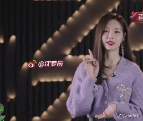 9号放映厅|乘风破浪的姐姐开播，“端水大师”黄晓明上线，30碗水端的一样平