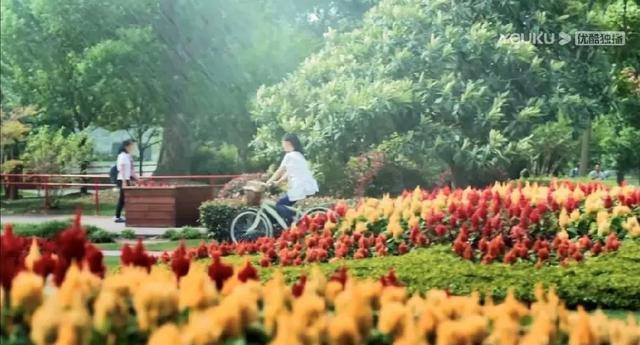 上观新闻|藏太深,原来《微微一笑很倾城》等热门影视剧取景地都在这些公园里
