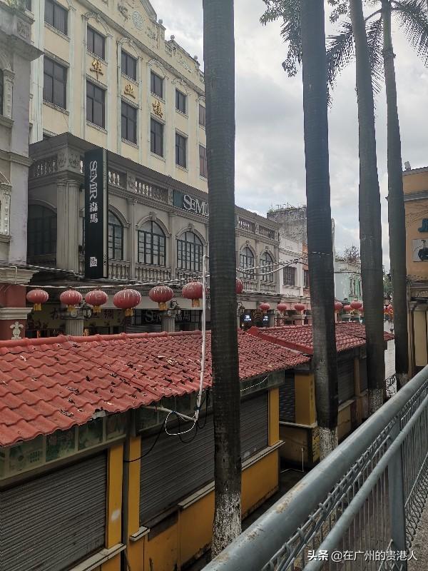 【山楂味的诗】走马观花,看顺德大良。