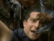 Can Bat Meat Be Eaten? Uncle Bei, the ‘Top of the Food Chain’ Man, Was Immediately Intimidated