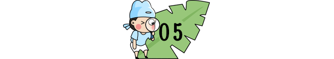 「夏以乔木」开学即期中！31个省市返校时间&暑假时间来了！复课第一个月，必须重视！（家长和孩子都读一读）
