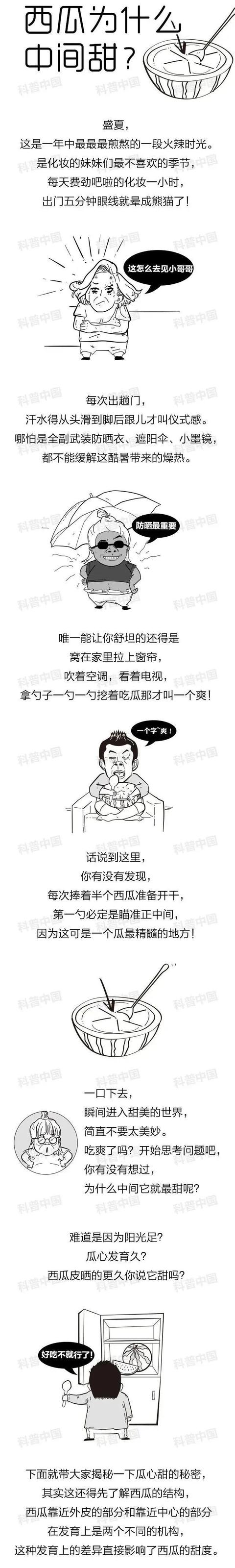 西瓜|为什么西瓜中间那勺最甜？疑惑终于解开了