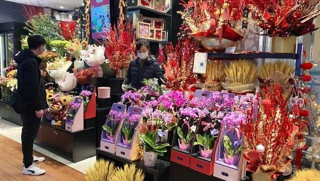 银柳|这样“年货”你备了吗？年宵花图鉴（上）