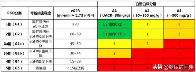 2020版《中国2型糖尿病防治指南》发布,更新要点速览