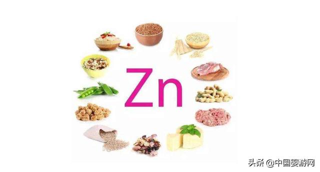儿女天天乐|缺锌补锌?用对方法是关键!4种食补方法值得学习