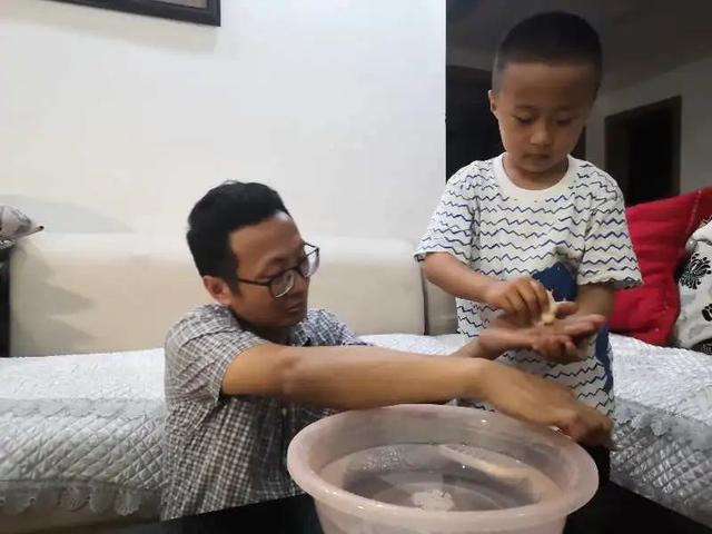 梦的色彩|“爸”气十足，父出真爱
