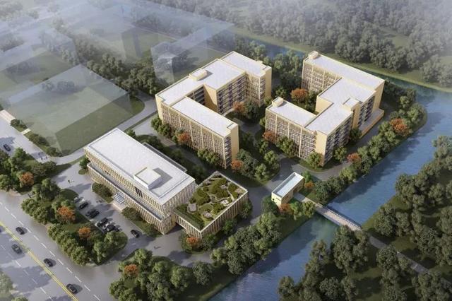 公司|这个“助理”，让嘉定这些村的分红又多了