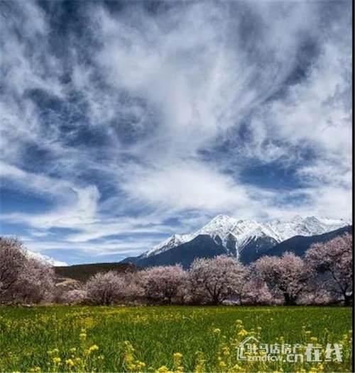 「你的育儿经」爱拼才会赢｜人间醉美四月天，同信壹品邀您一起来嗨皮